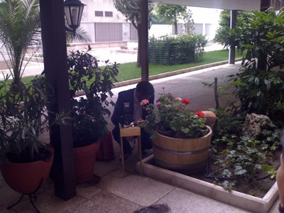 El paparazzi acecha entre la maleza.